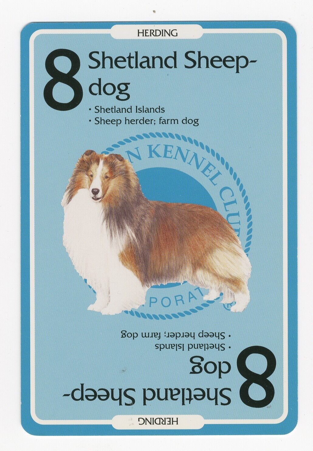 SHETLAND SHEEPDOG SHELTIE AMERICAN KENNEL CLUB DOG COLLECTABLE TRADING CARD