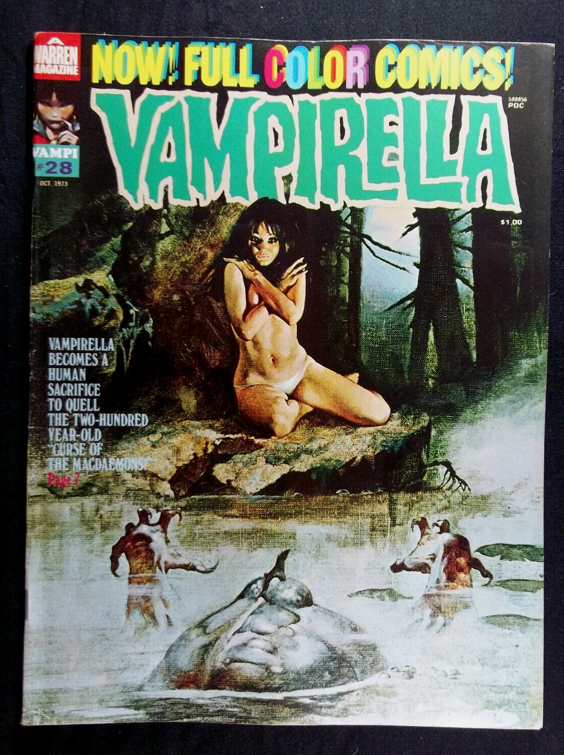 Vampirella #28 FN 6.0 Enrich Torres Cover Art, Vintage Warren Magazine 1973