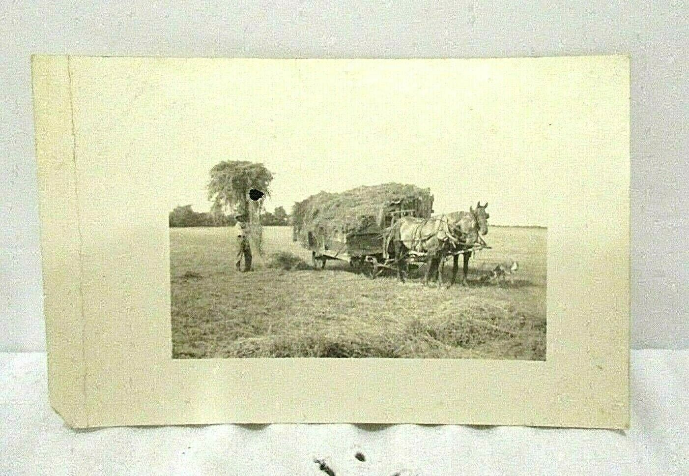 RPPC Real Photo Antique Postcard Farmer Horses Wagon Hay Crops Field Dogs
