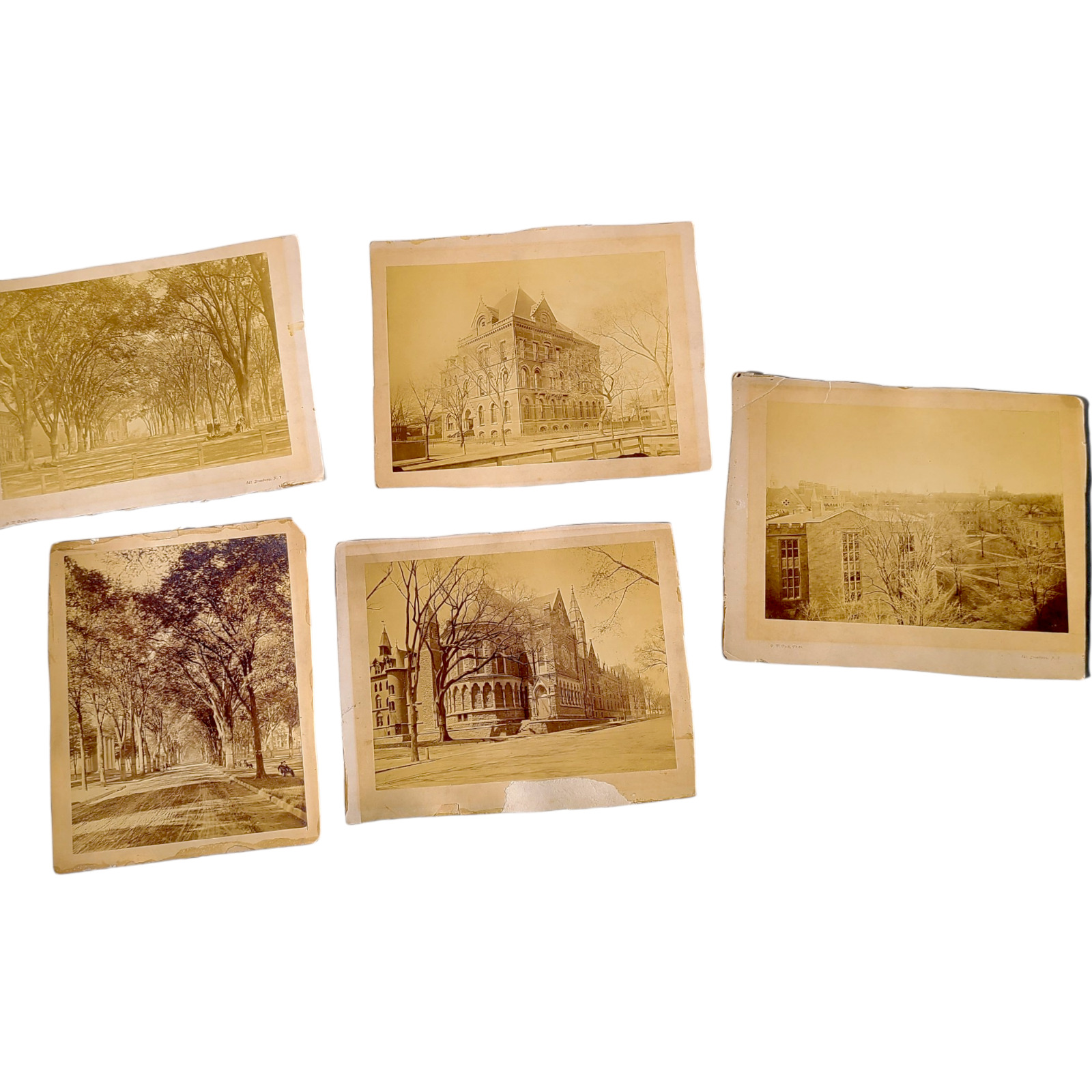 1880s Yale Campus New Haven Antique Original Photo Lot  Pach Brothers Vintage