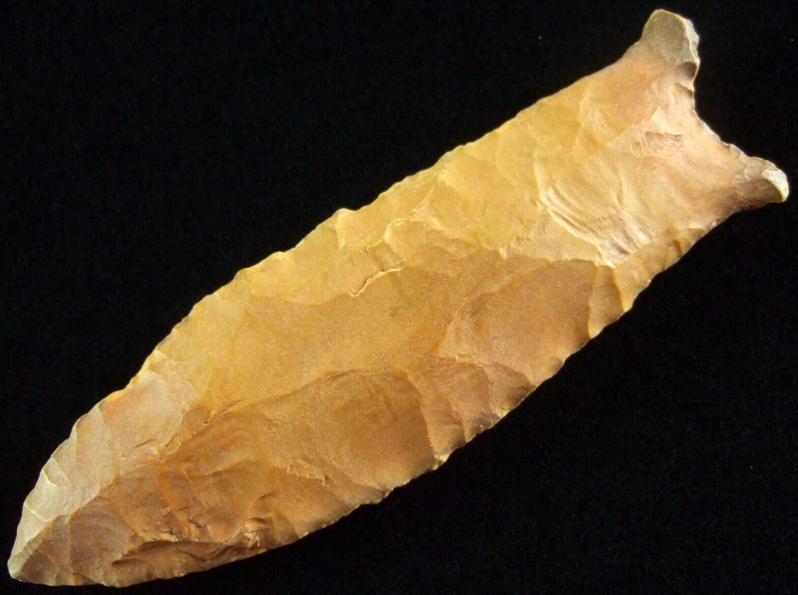 Exceptionally Fine 4 inch Kentucky Beaver Lake Point with DUAL COA Arrowheads