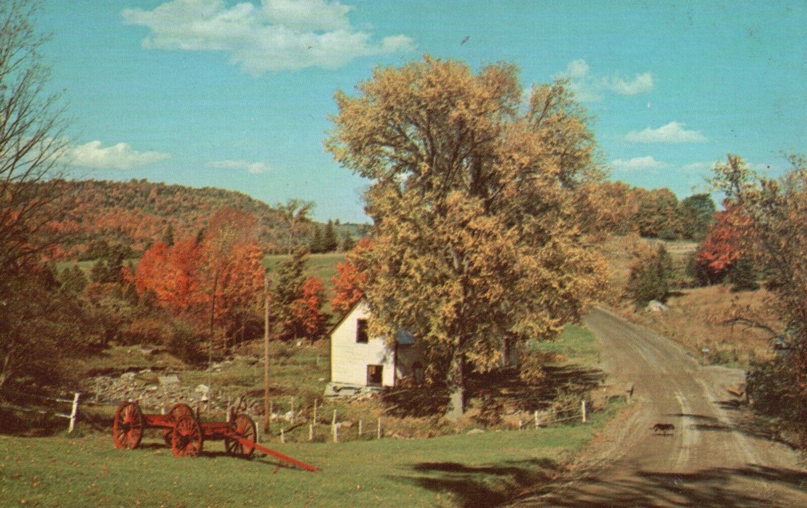 Typical Fall View on a Vermont By-Way, VT, Chrome Vintage Postcard a5837