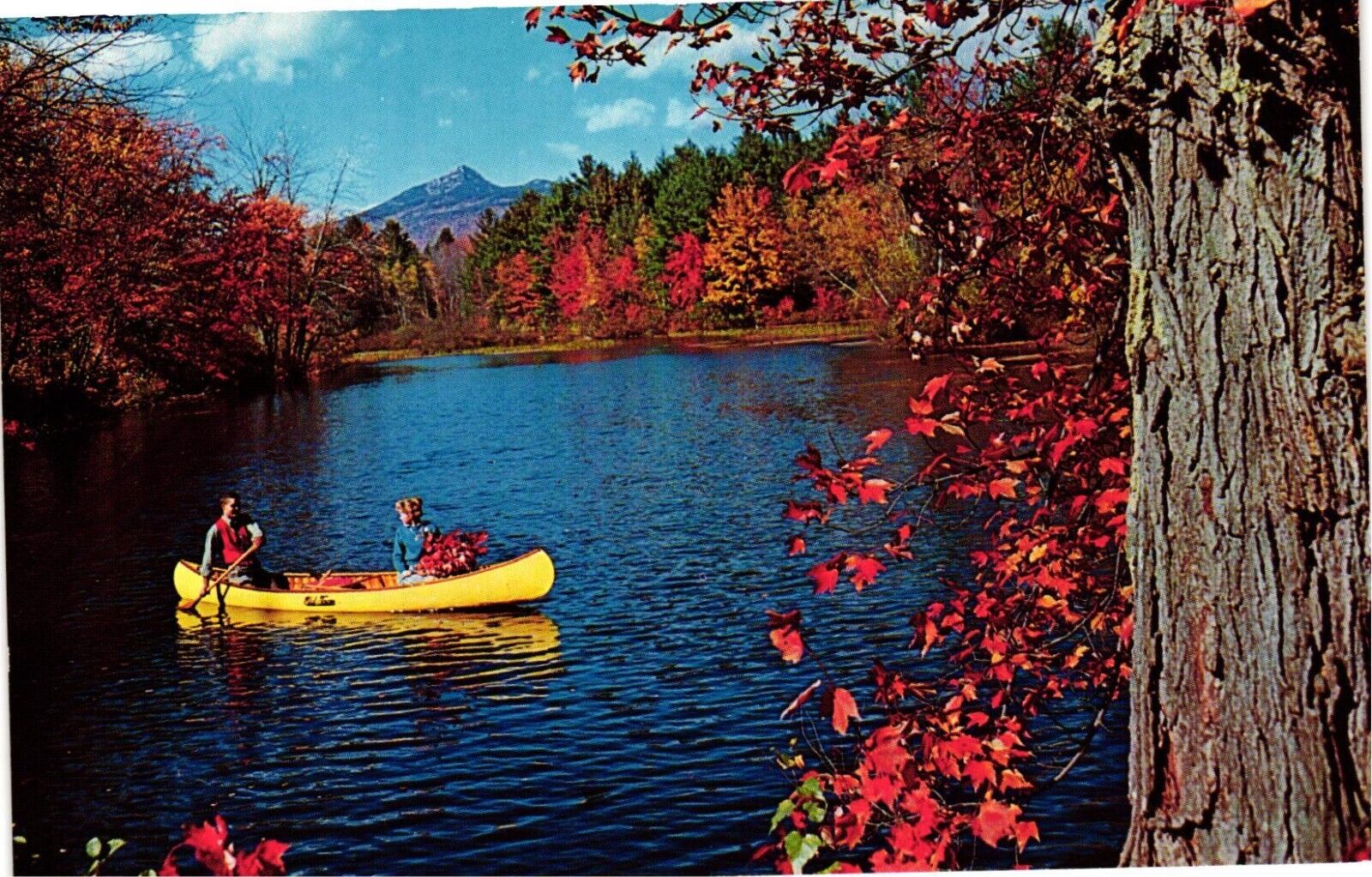Postcard Beautiful Lake Chocorua New Hampshire Autumn Scene