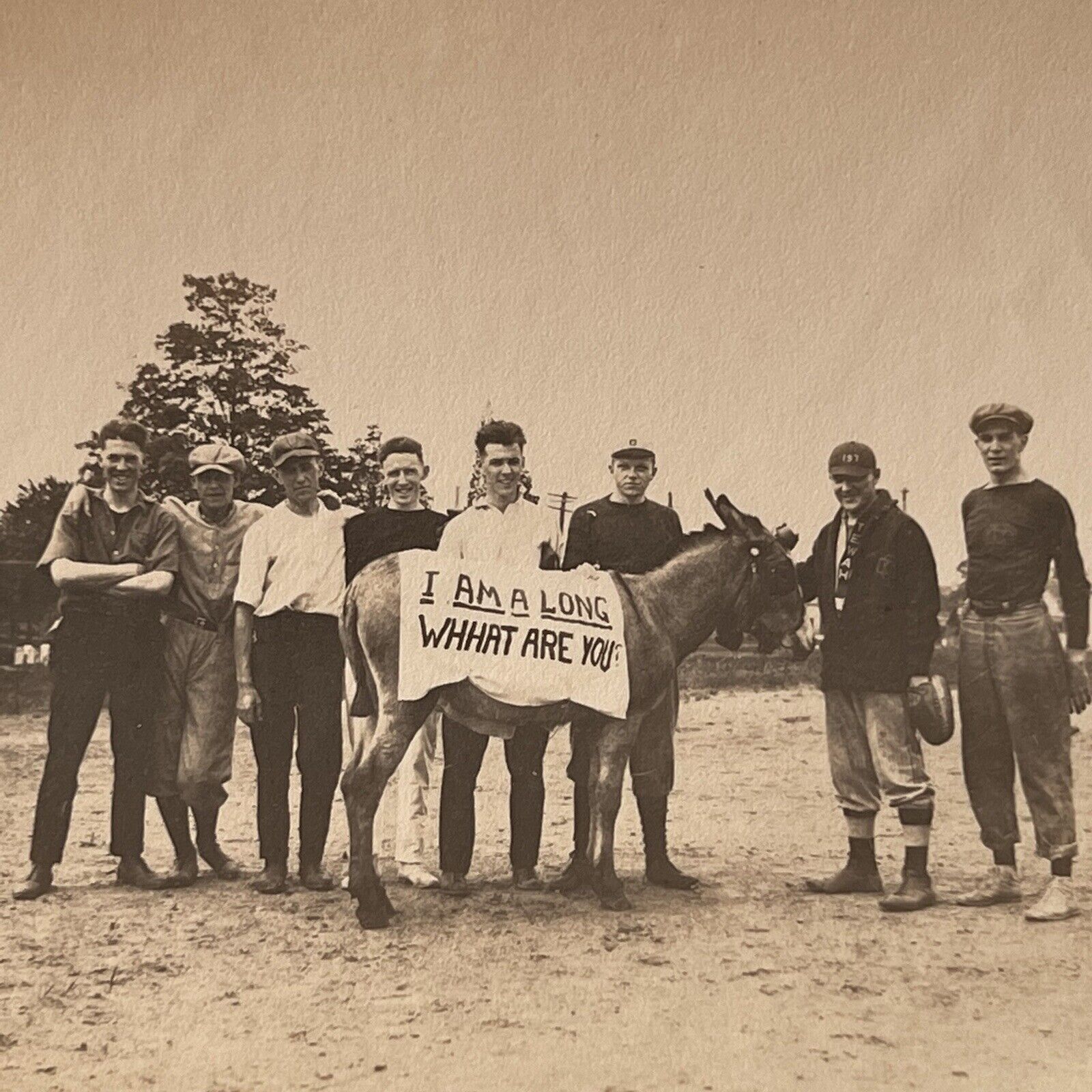 Antique B&W Snapshot Group Photograph Young Men Baseball Donkey I Am A Long Sign