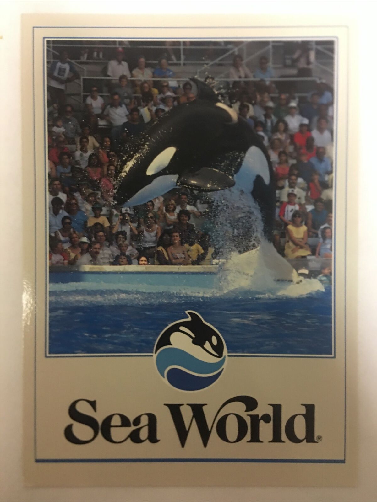 Sea World Shamu Vintage Postcard