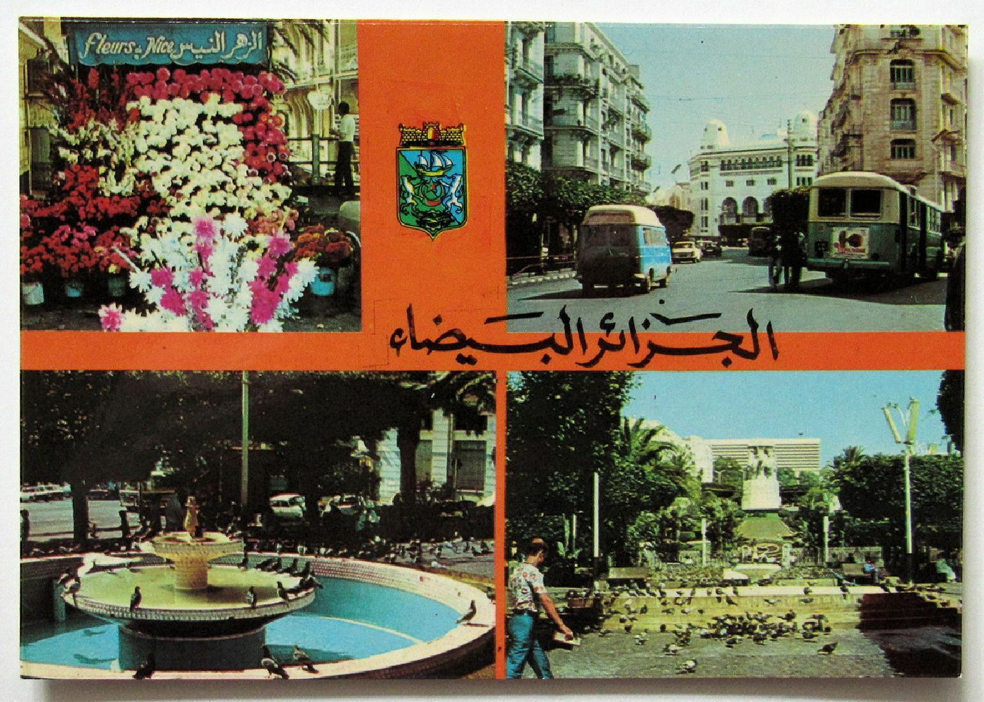 Algeria Algier Postcard Alger North Africa