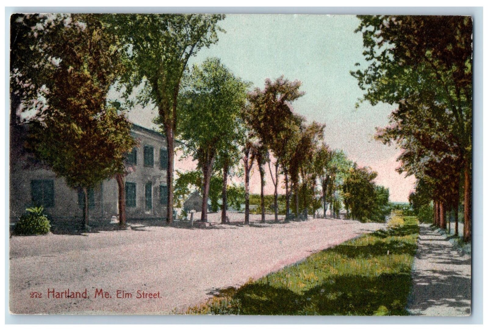 1908 Elm Street Highway Dirtroad Lined Trees Building Hartland Maine ME Postcard