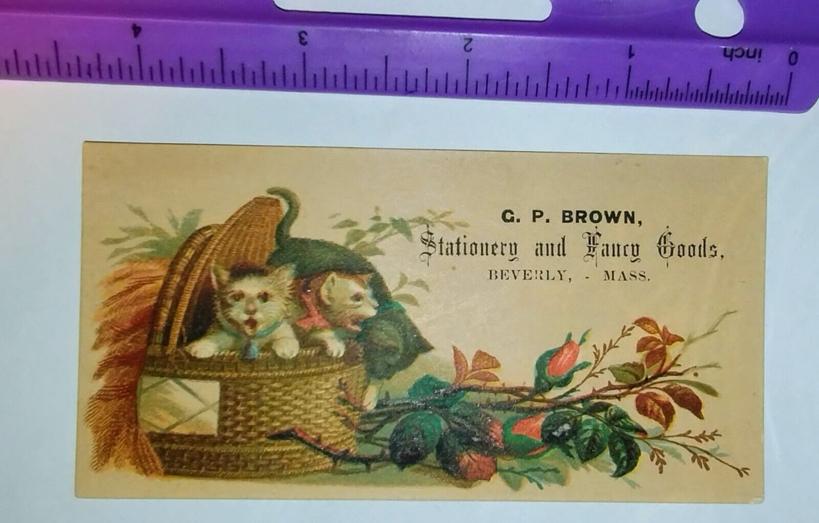 Ca 1880\'s Victorian Trade Card CP Brown  stationary Beverly, Ma kittens/basket 