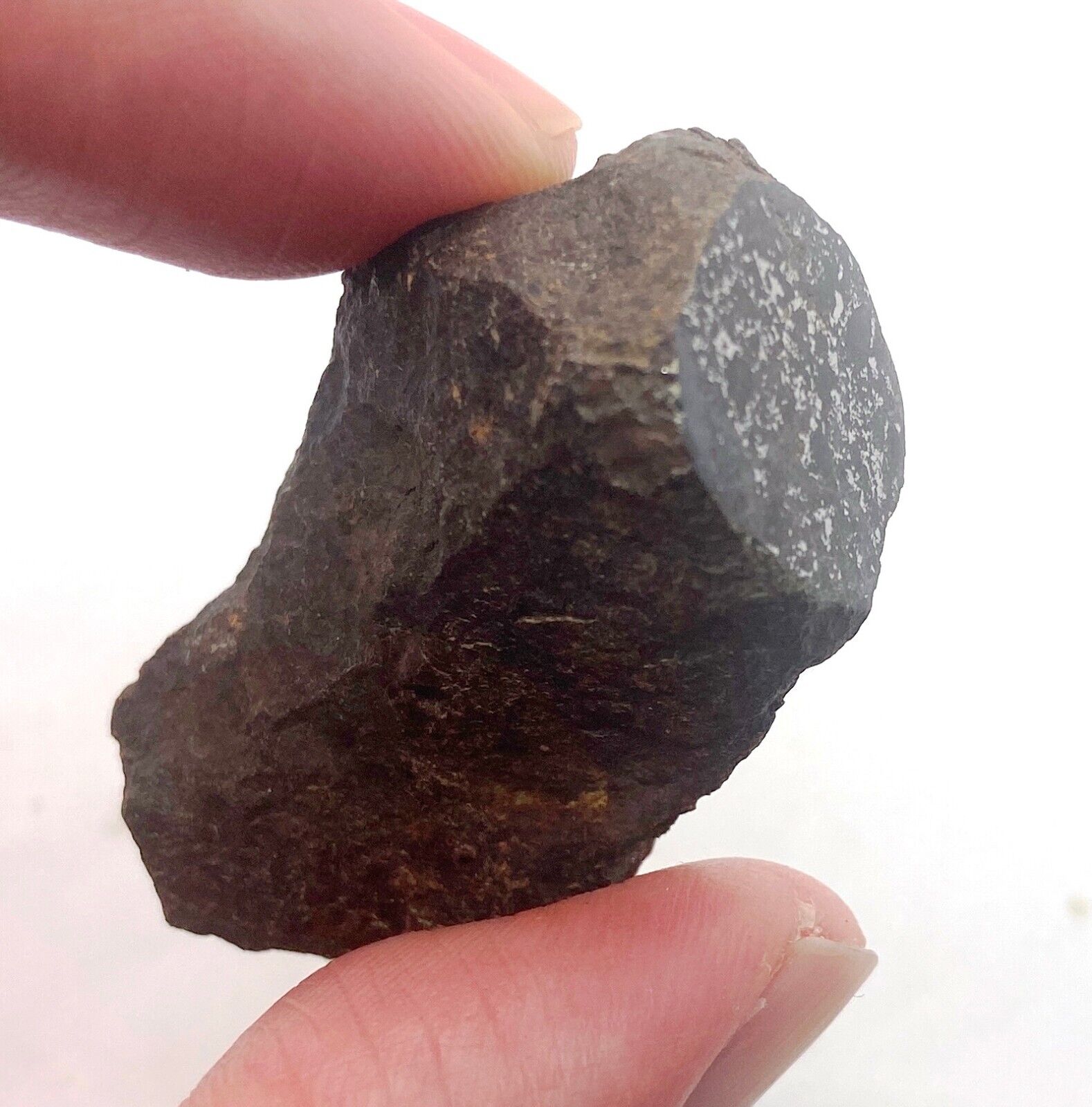 39 gram Vaca Muerta mesosiderite meteorite endcut - Chile 