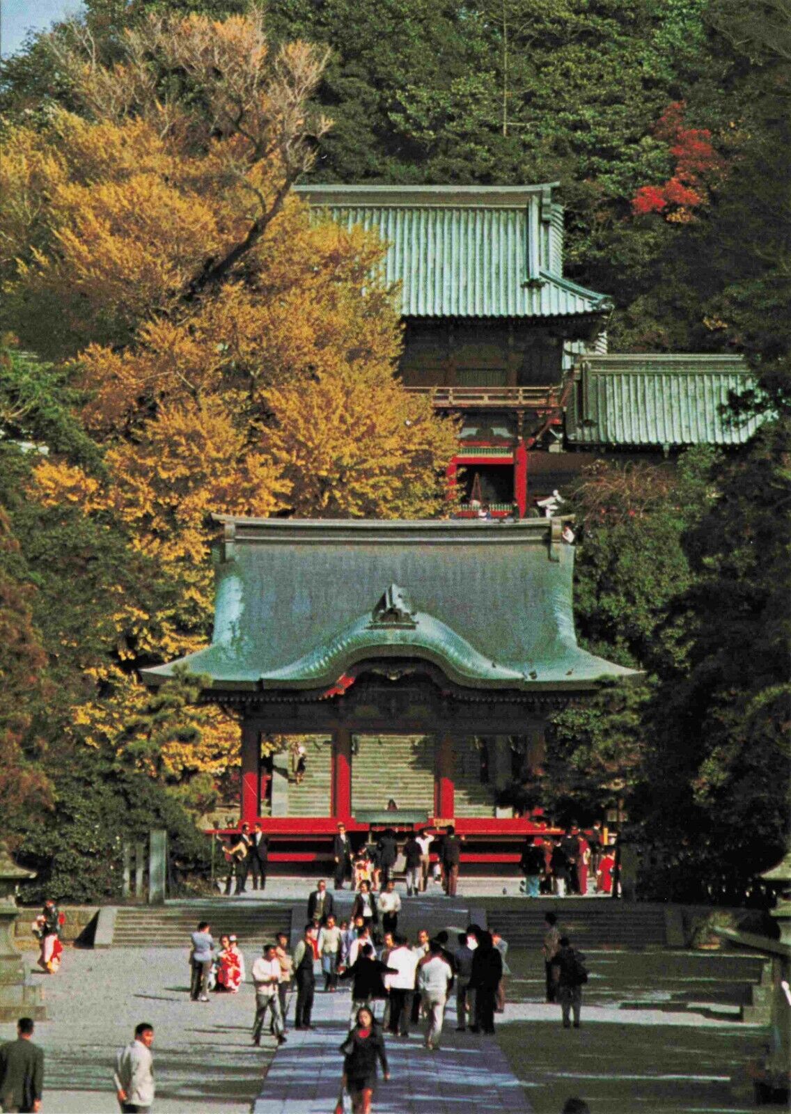 Kamakura Japanese Postcard - Entrance Tsurugaoka Hachimangu Shrine Vtg #16