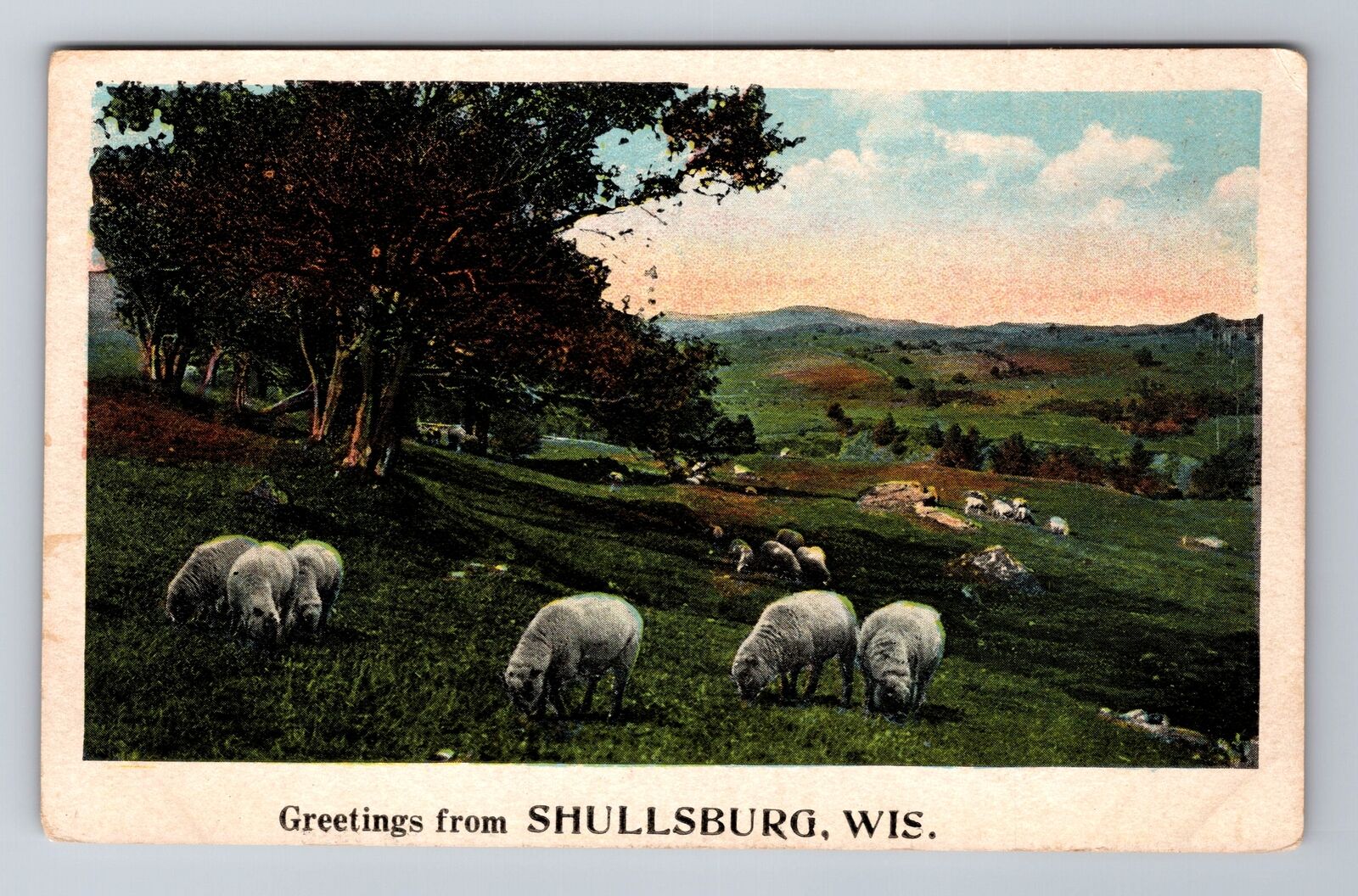 Shullsburg WI-Wisconsin, Scenic Greetings, Antique, Vintage Postcard