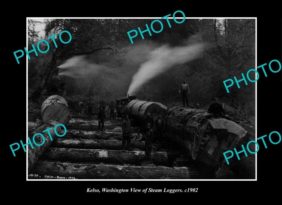 OLD LARGE HISTORIC PHOTO KELSO WASHINGTON VIW OF THE STEAM LOGGERS c1902 2