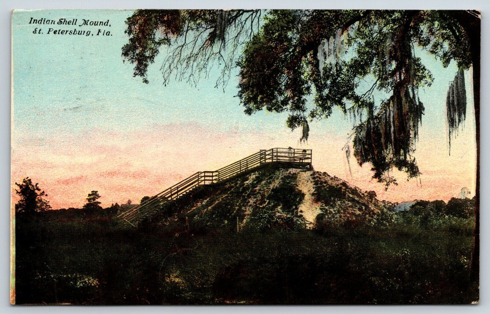 Indian Shell Mounds St. Petersburg Florida Postcard c1911 Native American