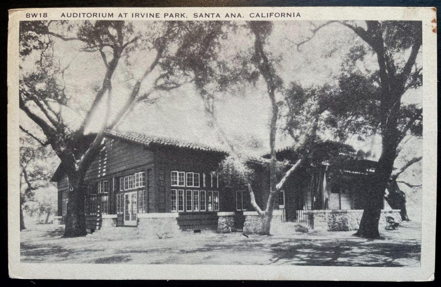 Vintage Postcard 1953 Auditorium at Irvine Park Santa Ana, California (CA)