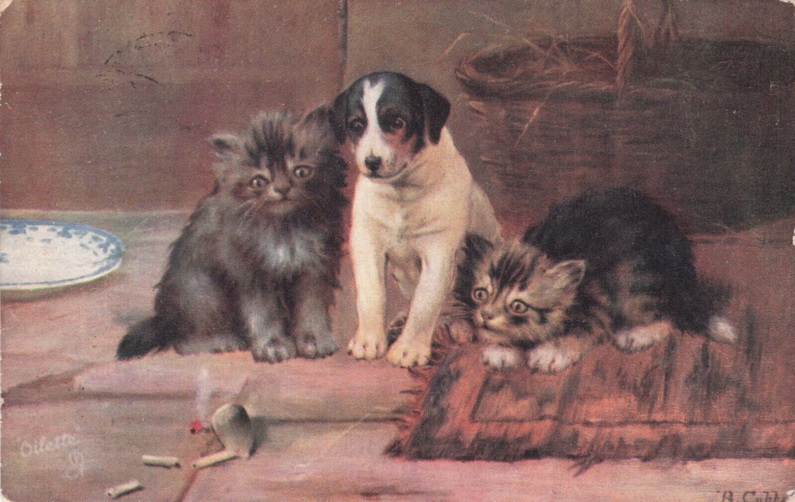 Artist Signed B Cobbe What Is It Kittens Terrier Puppy & Pipe Tuck Postcard 1906
