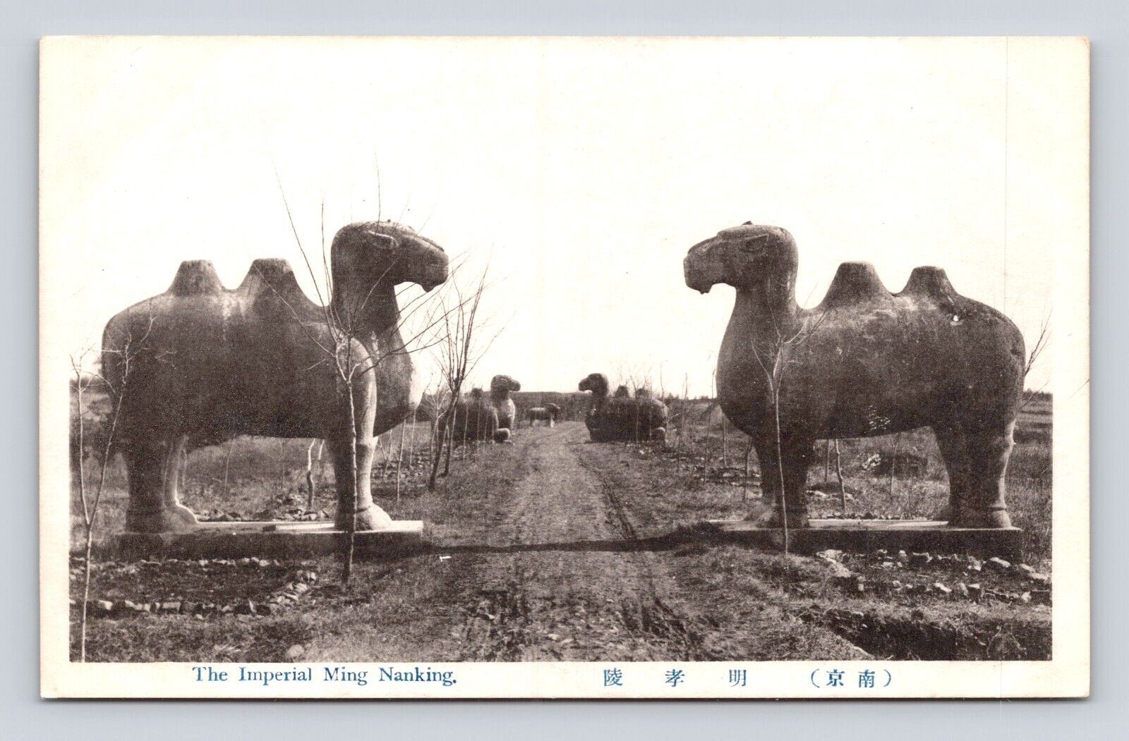 Antique Postcard RPPC Real Photo IMPERIAL MING NANKING CAMEL STATUES 1910