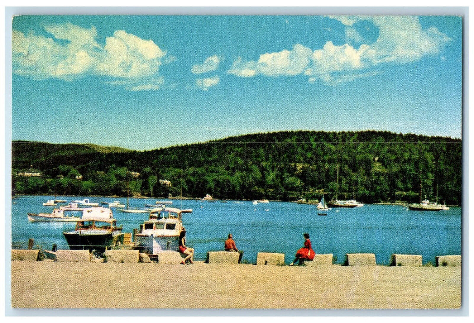 1968 Marina at Northeast Harbor Mt. Desert Island ME Cranberry Isle ME Postcard
