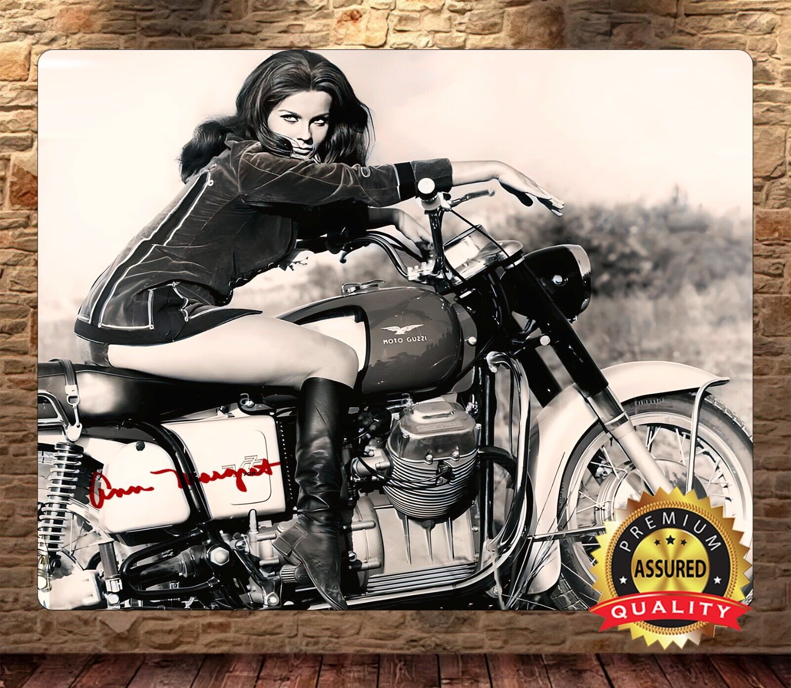 Vintage - Ann-Margaret - Motorcycle - Moto Guzzi - Signed Metal Sign 11 x 14