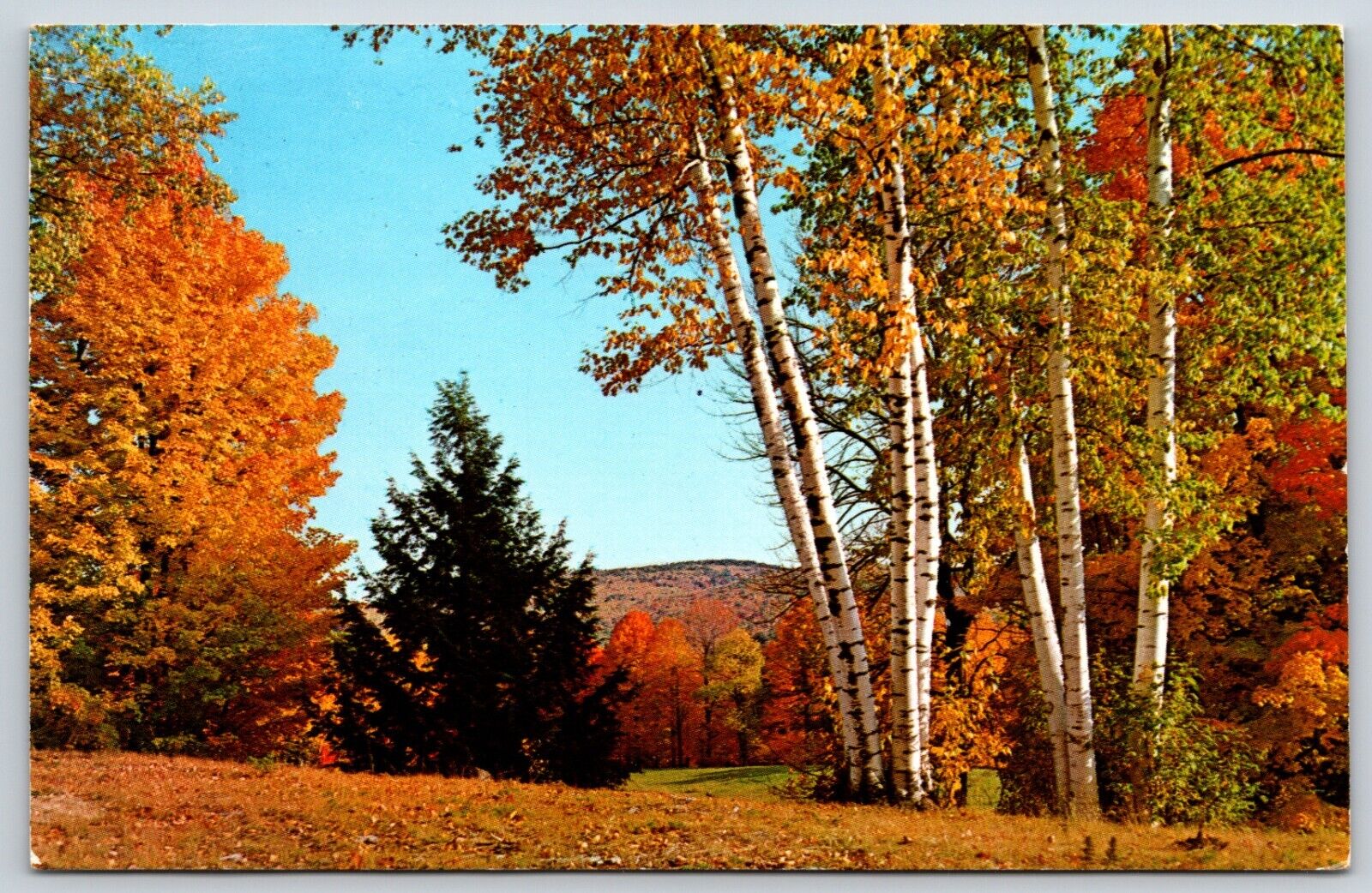 Postcard A Typical New England Fall Scene, Posted 1979