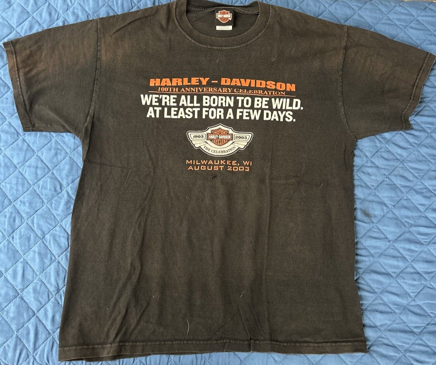 Harley Davison T-Shirt L 2003 100th Short Sleeve Black  MC Tattered