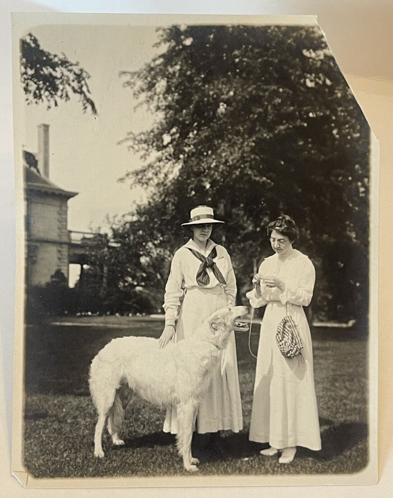 Vintage Photograph Black White Snapshot Women Playing With White Dog Identified