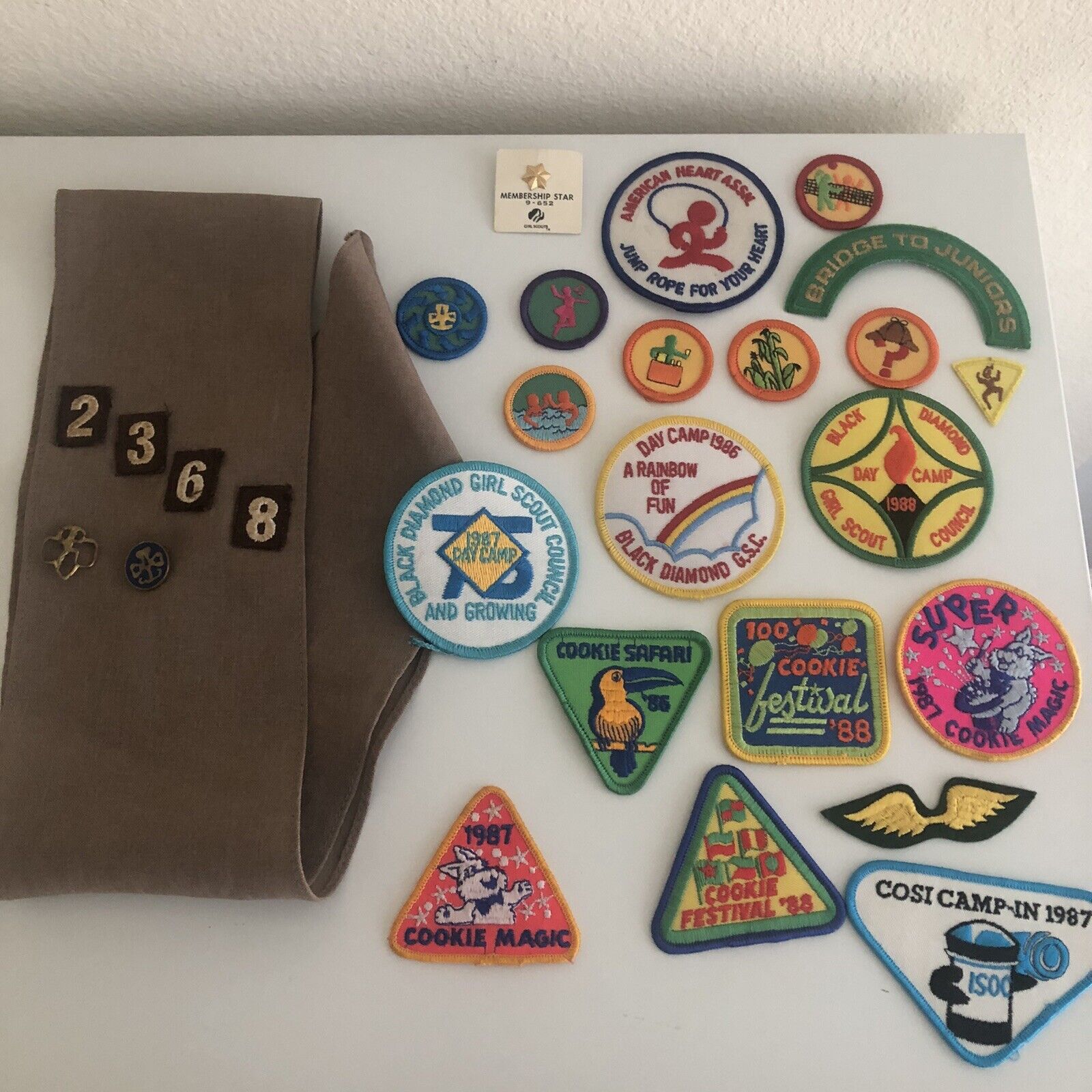 Lot of 20+ Vintage 80s Girl Scout Badges Patches Pins Sash