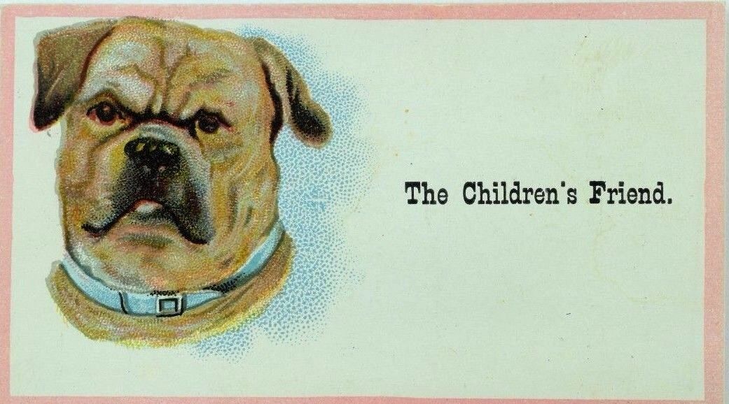 1870's-80's J. H Dudley & Co. The Children's Friend Adorable Brown Dog P82