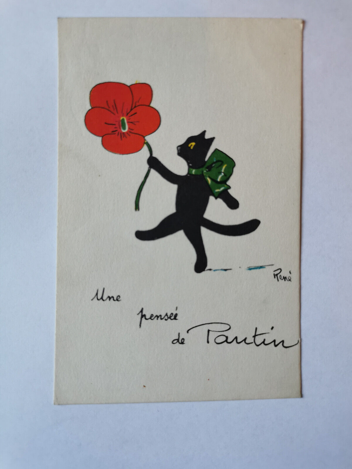 CPA Illustration RENE - Cat Black - Red Flower