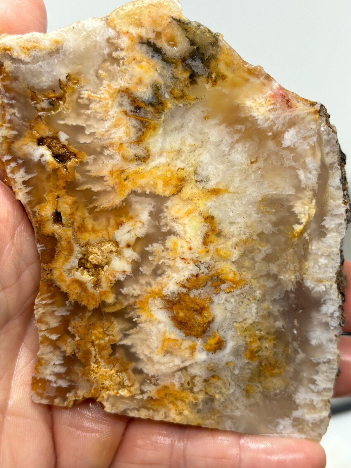 Amazing Plume Agate slab Cabbing Lapidary Collecting Combo Ship Avail Oregon