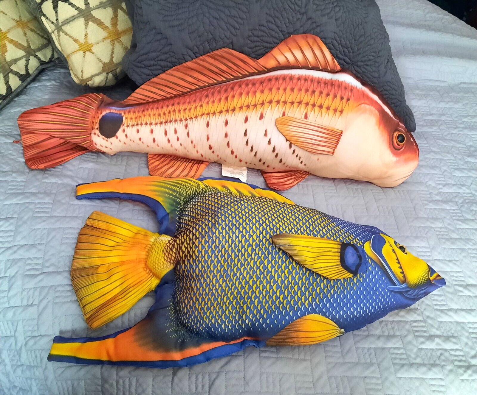 Fish Pillow Plush Set  Realistic Tropical Fish & Snapper Fish?