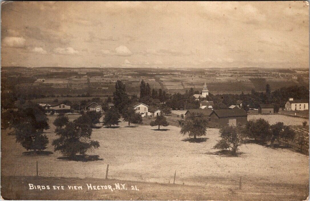 Hector, NY, Bird's Eye View of Village, Real Photo Postcard, 1919, #1059