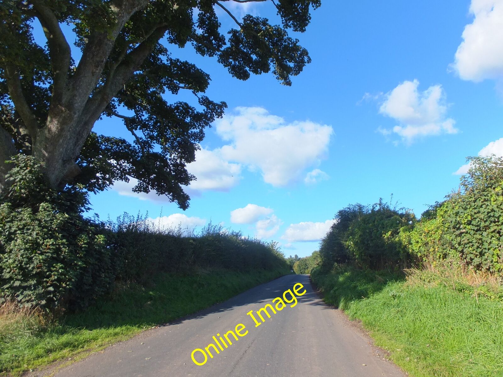 Photo 12x8 Road to Castle Heaton and Twizell Crookham\\/NT9138 Minor road t c2013