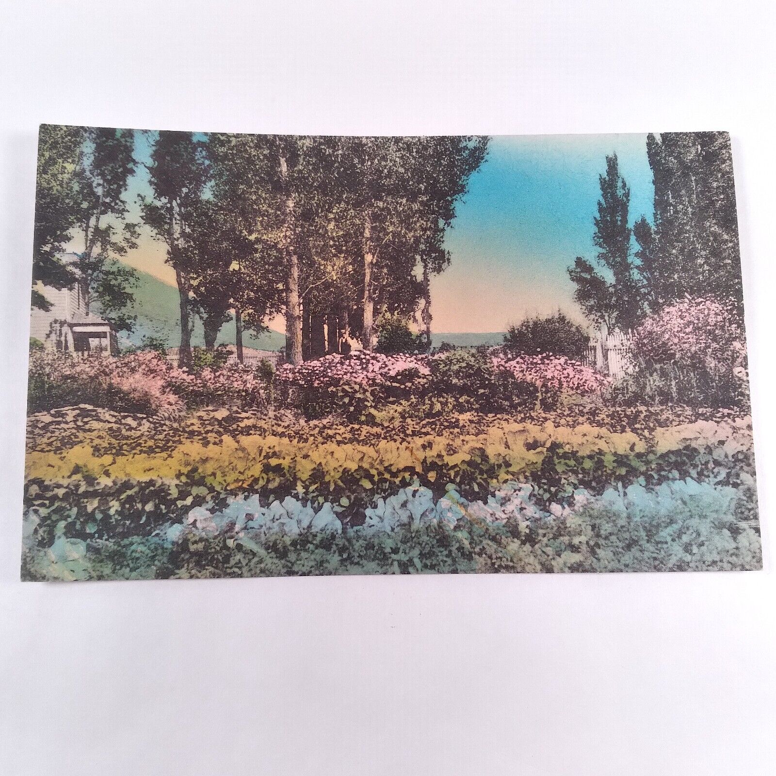 Clover Valley Nevada -Schoer\'s Ranch- Flower Garden SE Wells Postcard 1907-15