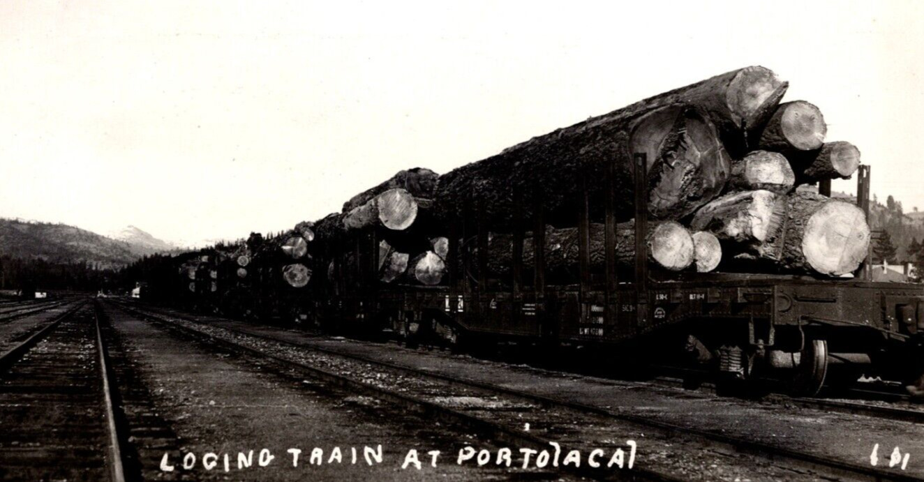 RPPC Logging Railroad Cars Portola California CA VINTAGE Postcard EKC 1940-1950