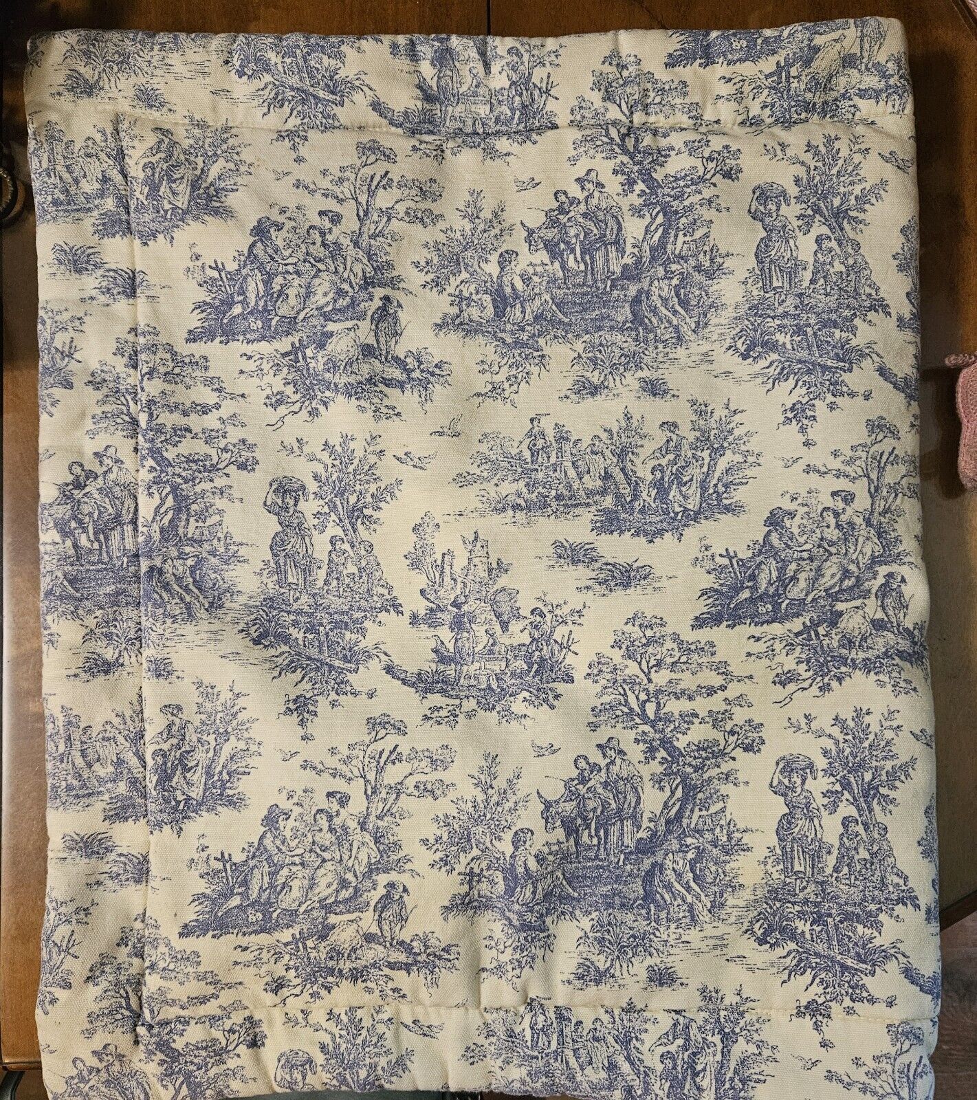 FRENCH TOILE BLUE WHITE PILLOWCASES SET OF 2 KING THICK MATERIAL 😁