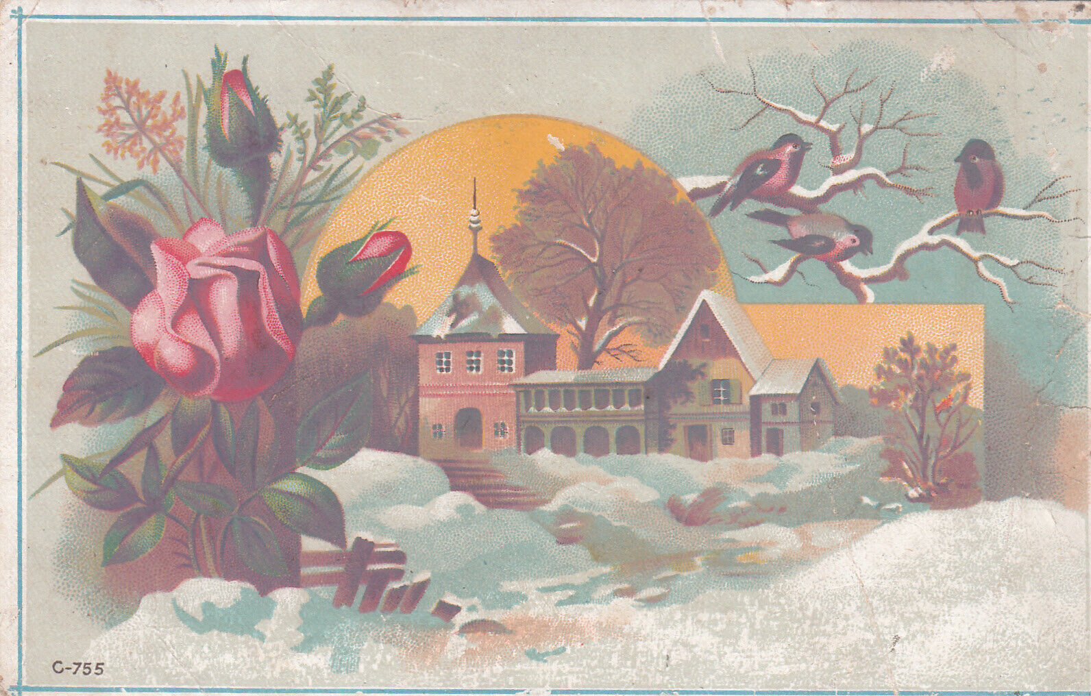 Vienna Roller Mills Peoria IL Donmeyer Gardner & Co House Snow Rose Card c1880s