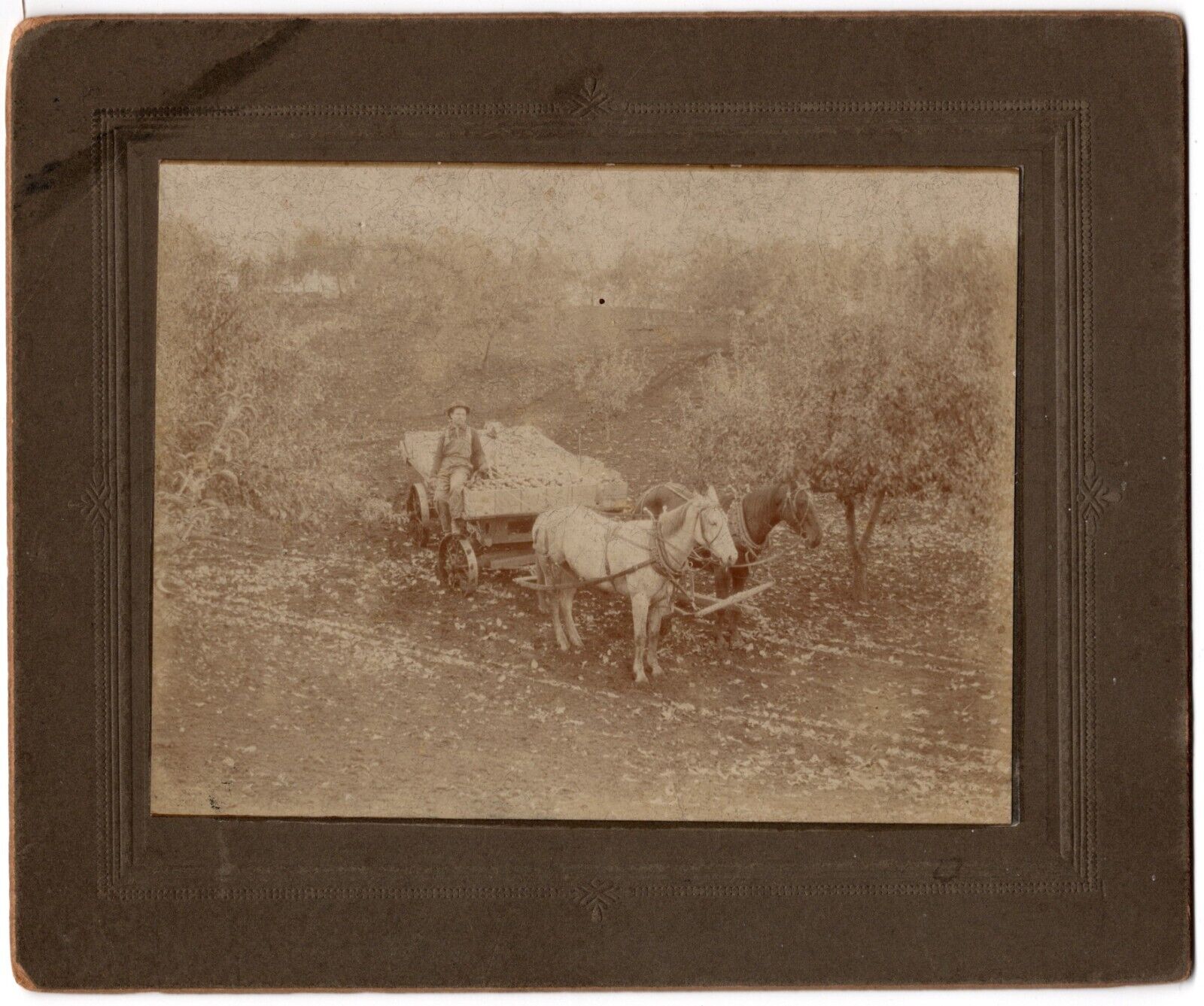 CIRCA 1890s MOUNTED BOARD PHOTO MAN CARRYING POTATOS ON HORSE WAGON WITH DOG