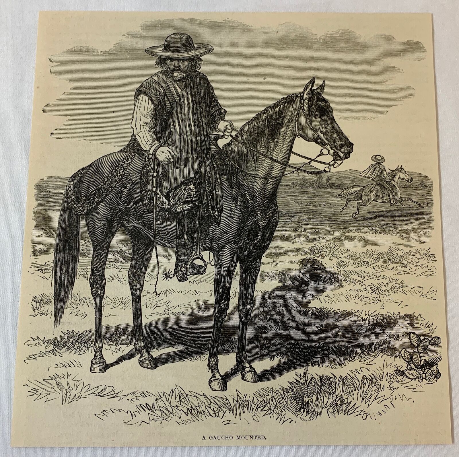 1884 magazine engraving ~ GAUCHO MOUNTED on horse