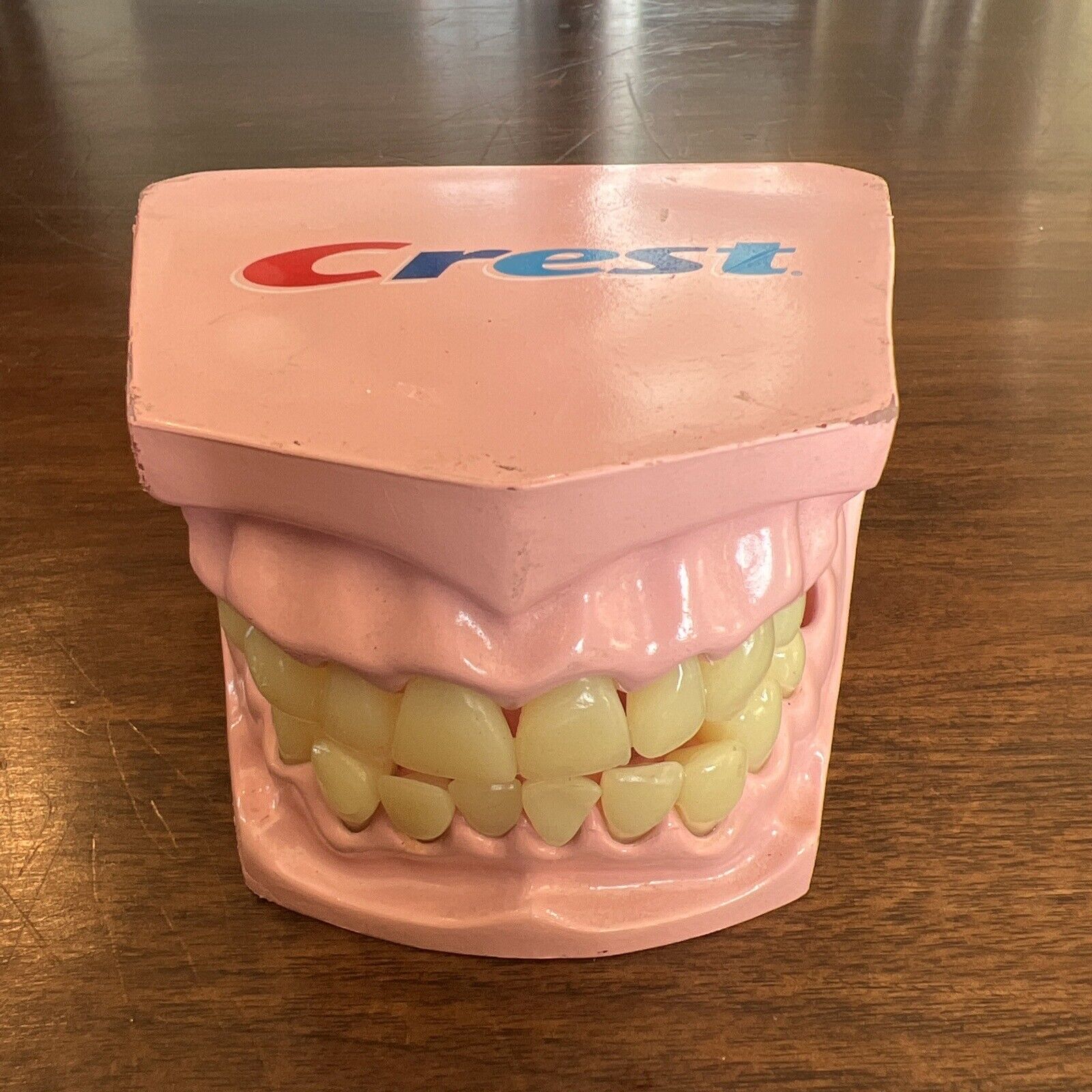CREST TOOTHPASTE MEDICAL ARTS TOOTH MOUTH FIGURE