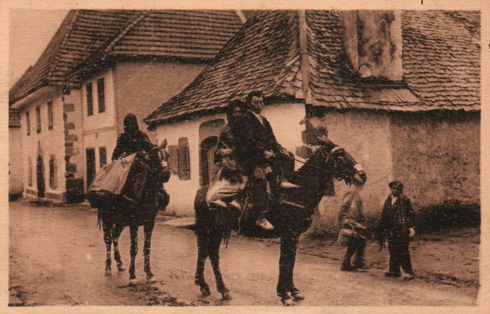 France Basque Peasants On Mules Vintage Postcard