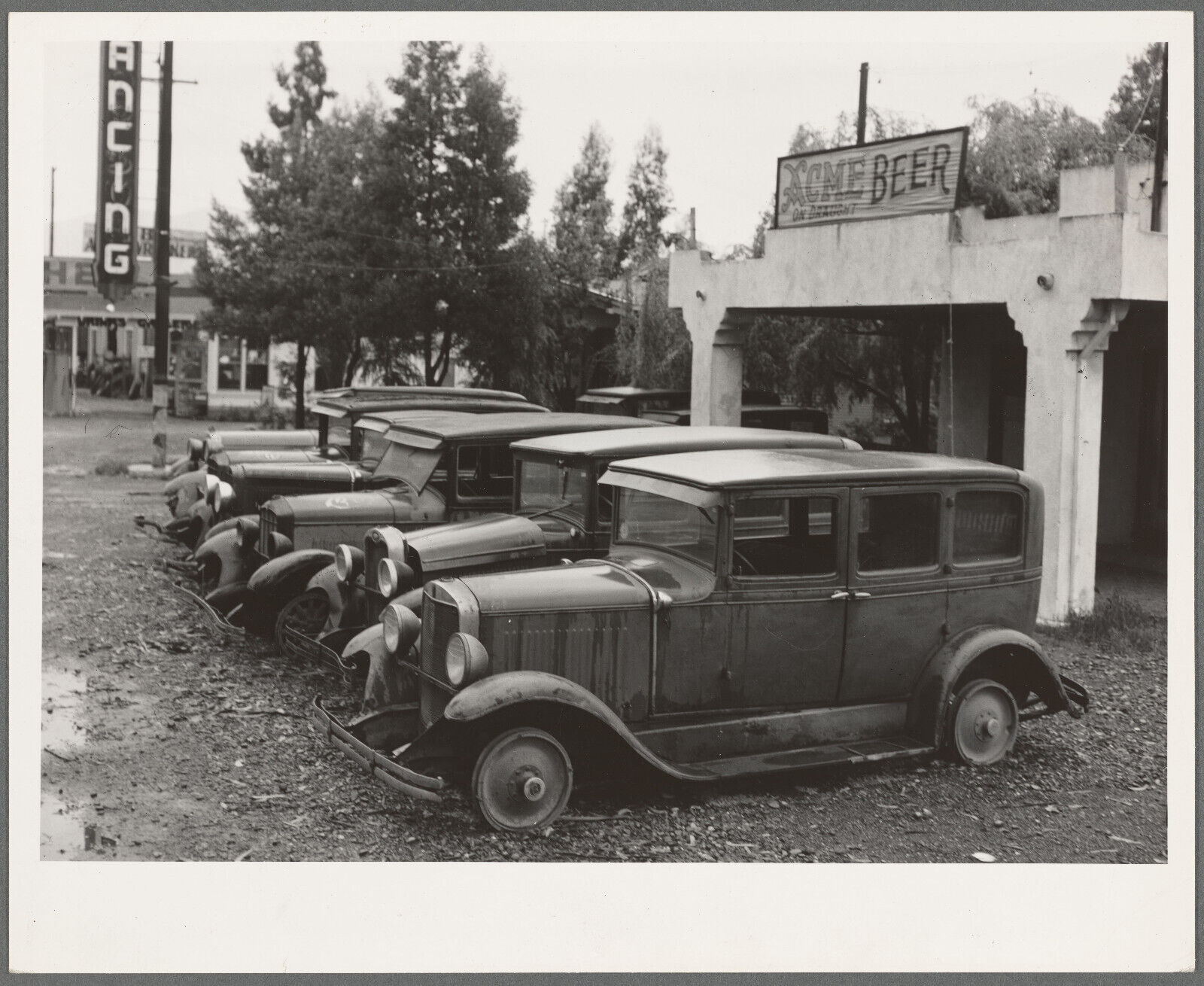 Photo, 1930\'s Roadside used car display on State Highway 17, Santa Clara Co, CA 