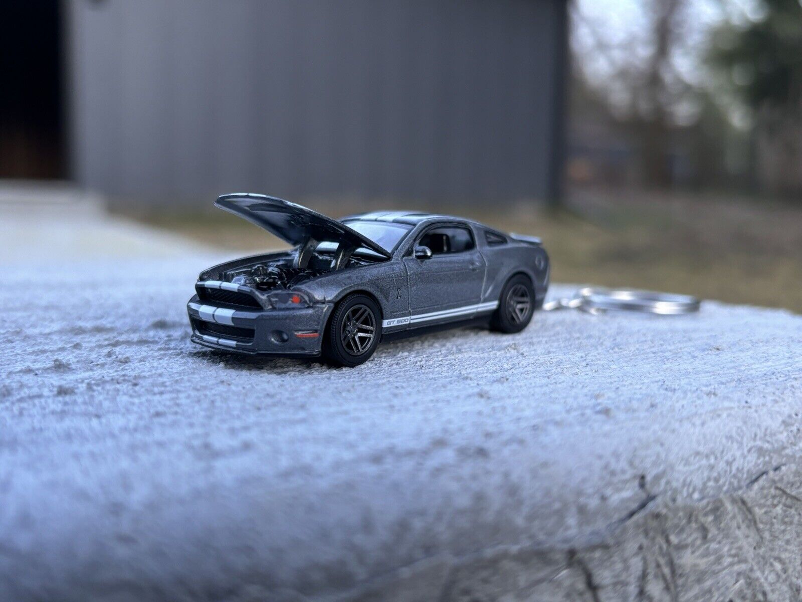 2010 FORD MUSTANG SHELBY GT500 Keychain