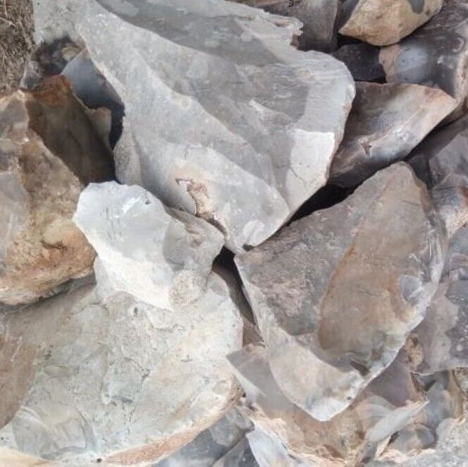 20 POUNDS Central Texas “Edwards Plateau”Chert/Flint Rocks for Knapping/Lapidary