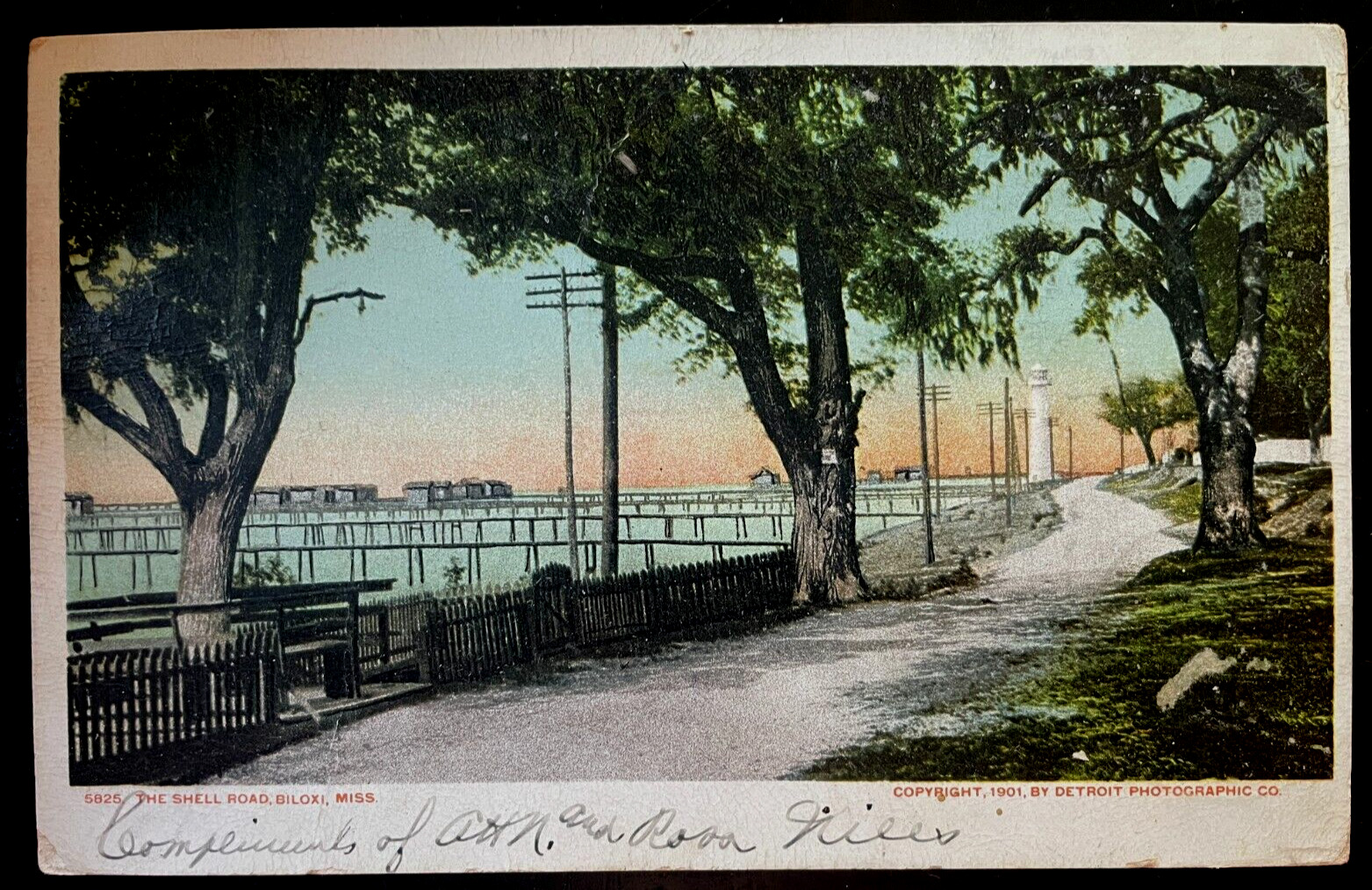 Vintage Postcard 1906 The Shell Road, Biloxi, Mississippi (MS)