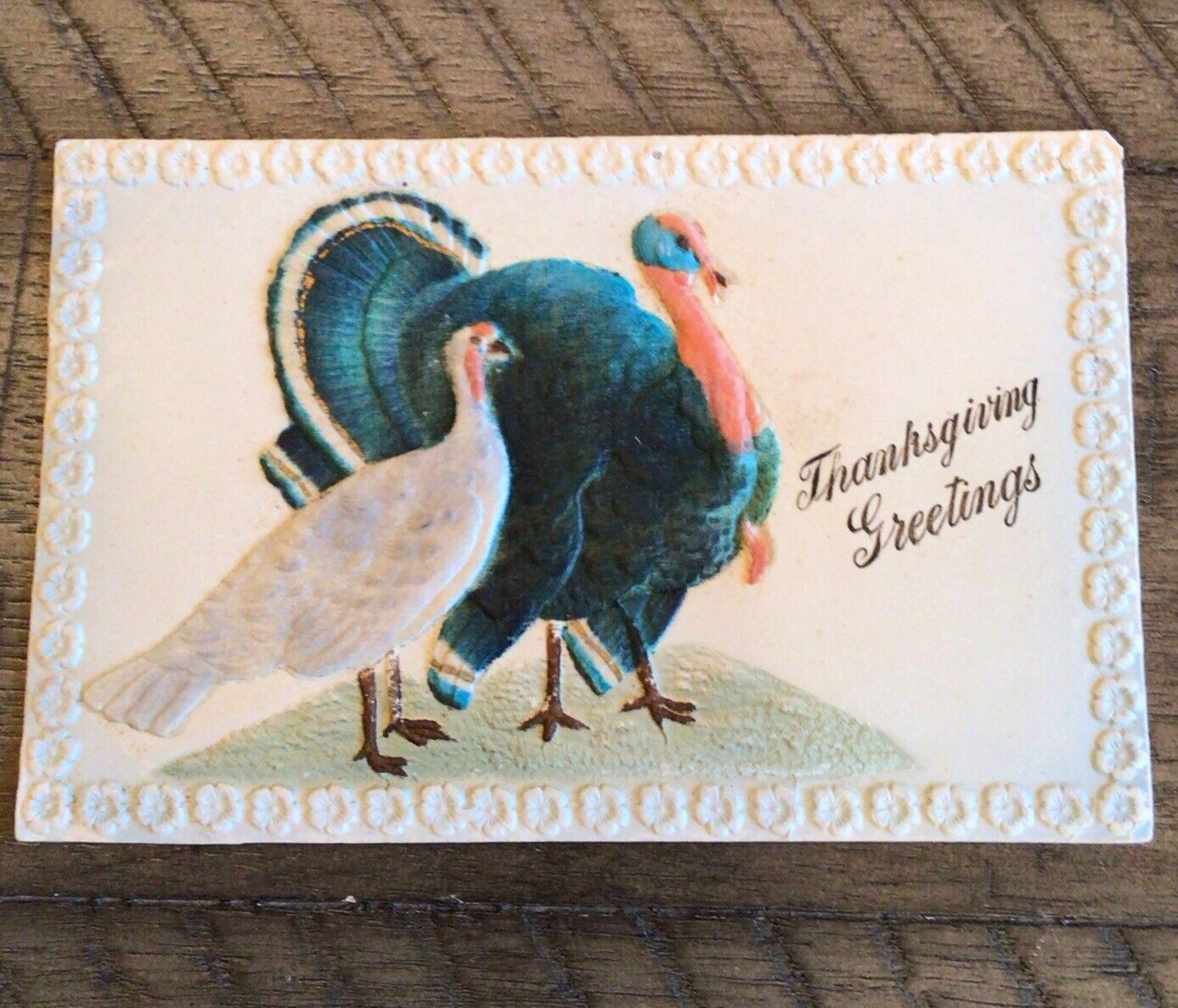 Antique Heavily Embossed Silk Covered turkey Thanksgiving Postcard Germany