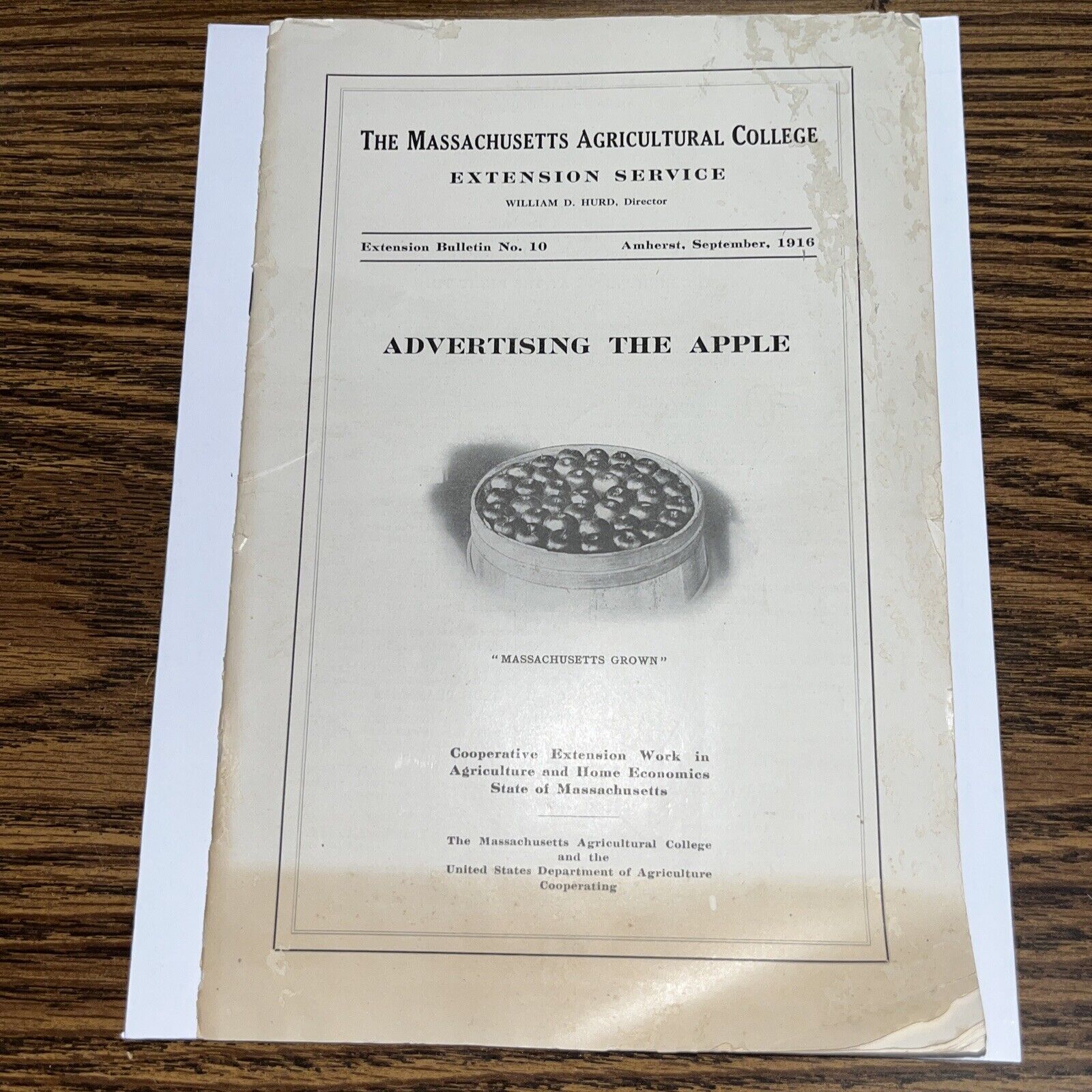 1916 Massachusetts Agricultural College Bulletin: Advertising the MA Grown Apple