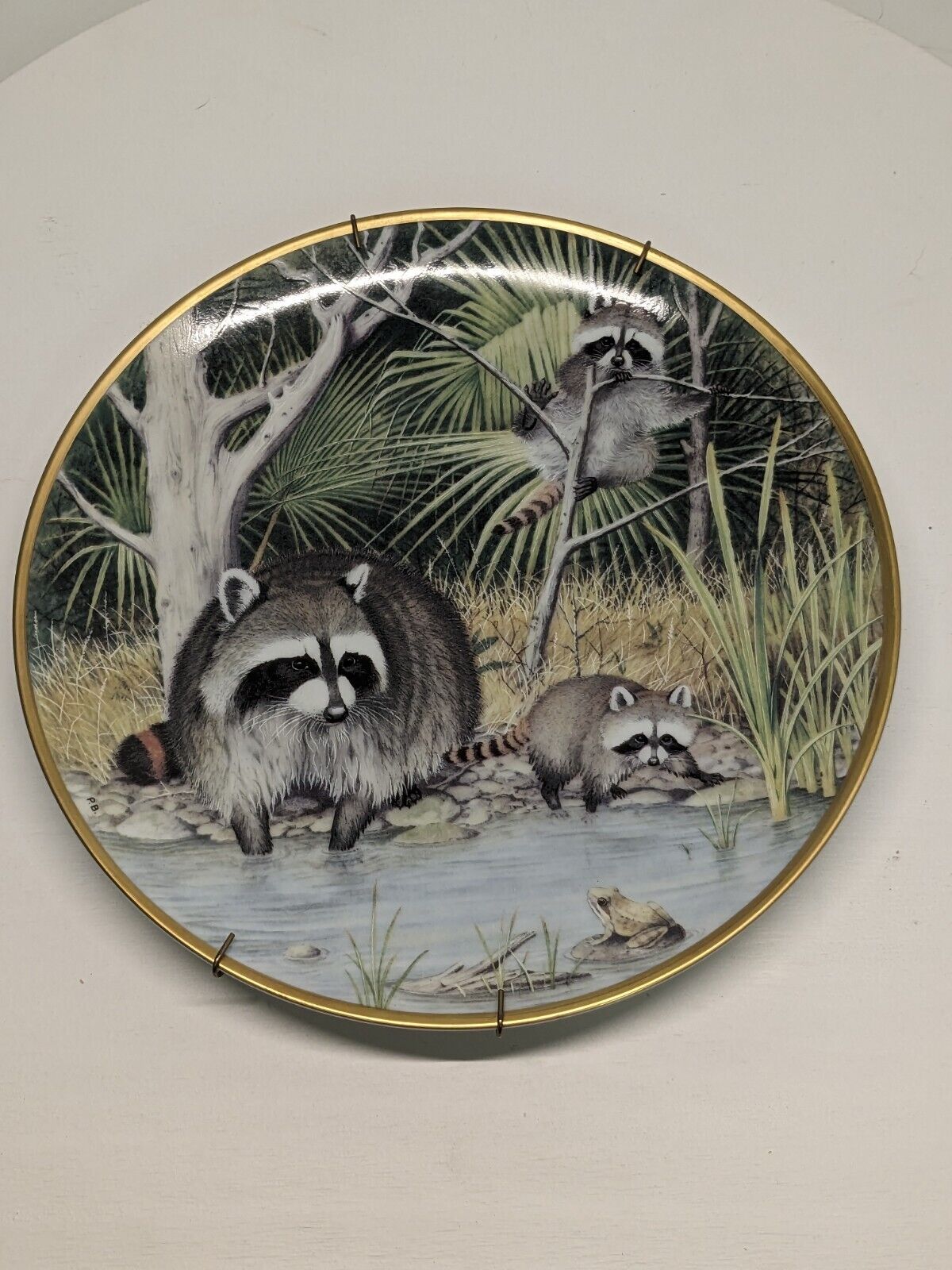 The Woodland Year - Curious Raccoons At An April Pond -Peter Barrett FP Plate...