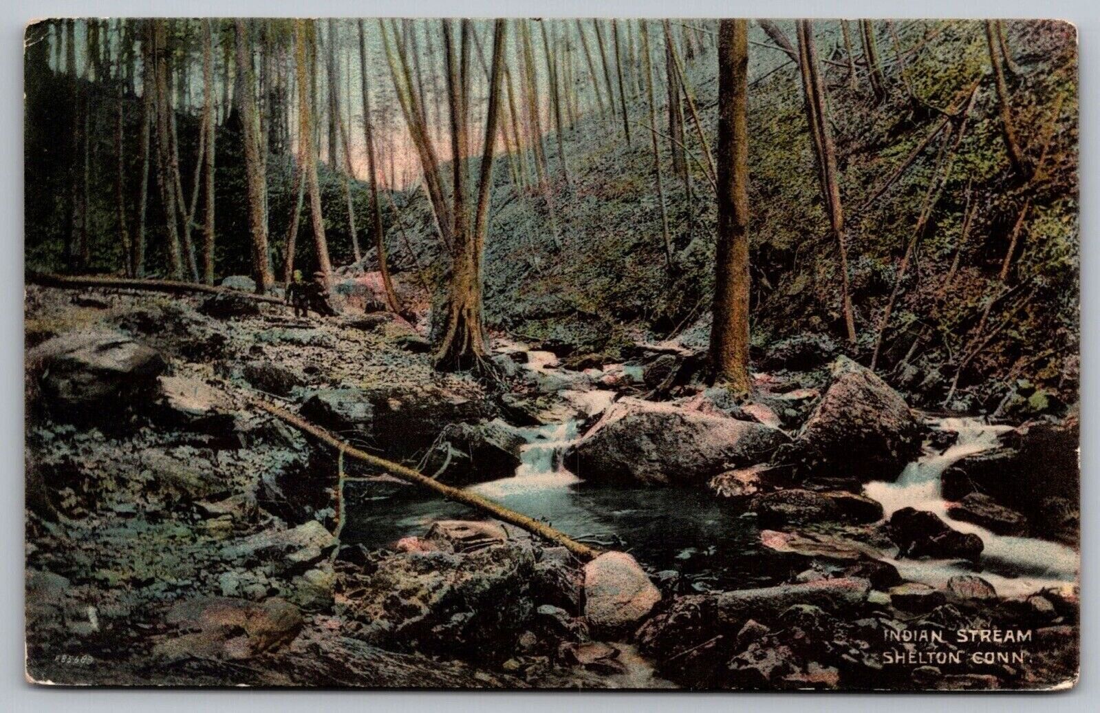 Indian Stream Shelton Connecticut Forest Cancel Norwalk Conn 1916 WOB Postcard
