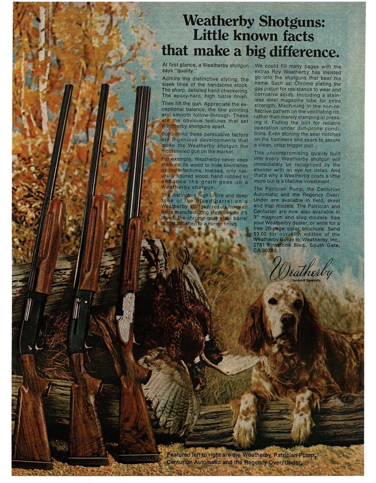 1977 WEATHERBY Shotguns COCKER SPANIEL Pheasant Vintage Ad 