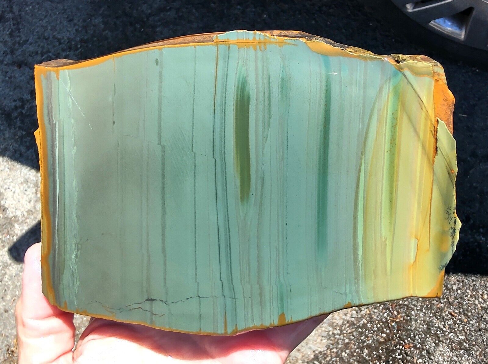 rawk11: 1.45LB Rare Owyhee Jackpot Jasper thick slab-Banded Blue-Greens-Oregon